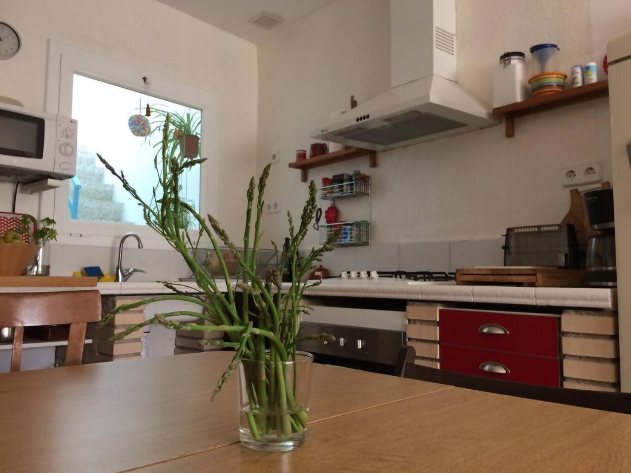 Casa Taller Penelles Penellas Екстериор снимка